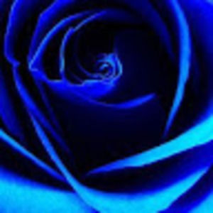 Meet your Posher, Keyta